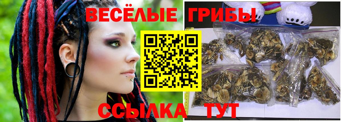 Псилоцибиновые грибы Psilocybe  Псилоцибиновые грибы Cubensis  Клин  Вход с VPN 